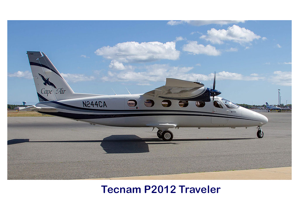 Tecam P2012 Traveler airplane