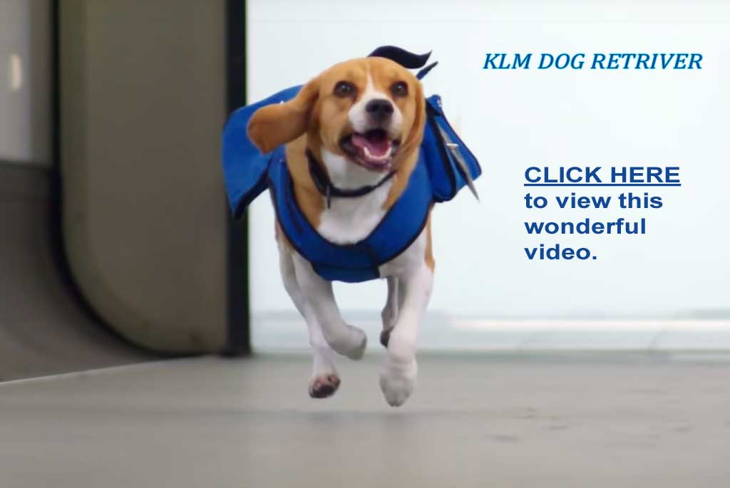 KLM dog retriver - click here to view video.