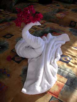 We were greated by this beautiful swan on our bed 