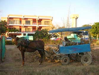 Horse and wagon with our hotel in background 