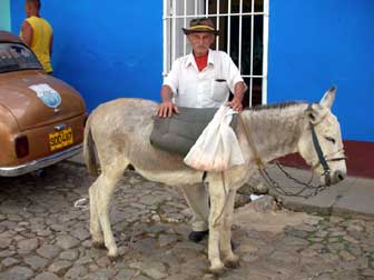 A man and his mule 