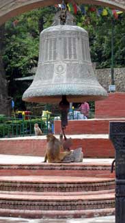 Monkey ringing large bell