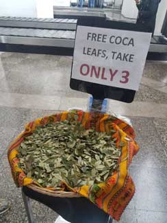 Free Coca Leaves