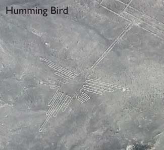 Nazca Lines - The Humming Bird