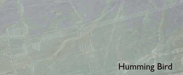 Nazca Lines - The Humming Bird