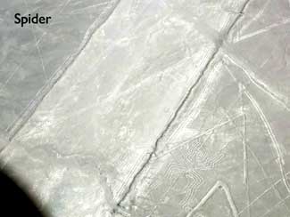 Nazca Lines