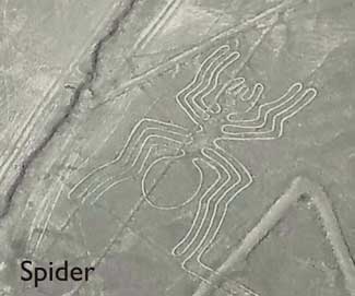 Nazca Lines