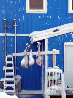 Barrow house with frozen animals hanging for food